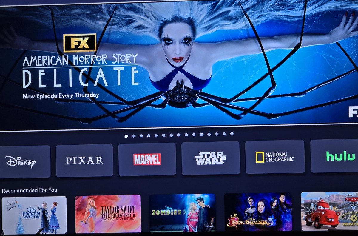 Alternatives to Hulu and Disney+ After the Integration for Your Streaming Needs